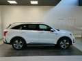 Kia Sorento 1.6 T-GDi HEV Emotion 4x2 Weiß - thumbnail 2