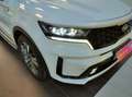 Kia Sorento 1.6 T-GDi HEV Emotion 4x2 Weiß - thumbnail 4