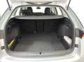 Skoda Octavia 2.0 TDI SELECTION DSG Argento - thumbnail 8