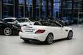 Mercedes-Benz SLC 300 Roadster*SPORT-FAHRWERK*NAPPA*PANO*LED Blanco - thumbnail 33