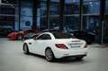 Mercedes-Benz SLC 300 Roadster*SPORT-FAHRWERK*NAPPA*PANO*LED Blanco - thumbnail 4