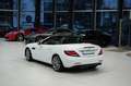 Mercedes-Benz SLC 300 Roadster*SPORT-FAHRWERK*NAPPA*PANO*LED Blanco - thumbnail 12