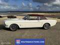 Ford Mustang Cabriolet | 1965 | Route 66 Auctions Zwart - thumbnail 5