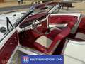 Ford Mustang Cabriolet | 1965 | Route 66 Auctions Zwart - thumbnail 2
