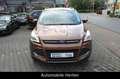 Ford Kuga 1.5 Sync Edition*KLIMA*MFL*TEMPOMAT*TOP! Braun - thumbnail 2