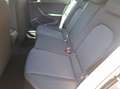 SEAT Arona Road Edition Negro - thumbnail 13