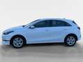 Kia Ceed / cee'd Ceed 1.5 T-GDI Vision MY25+DCT+Navi+R.Kam+Komfort Weiß - thumbnail 3
