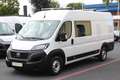 Fiat Ducato 35 L5H2 140 Snoeks *6-Sitz*Klima*Kam*AHK Weiß - thumbnail 8