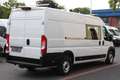 Fiat Ducato 35 L5H2 140 Snoeks *6-Sitz*Klima*Kam*AHK Weiß - thumbnail 3