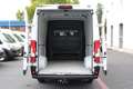 Fiat Ducato 35 L5H2 140 Snoeks *6-Sitz*Klima*Kam*AHK Weiß - thumbnail 4