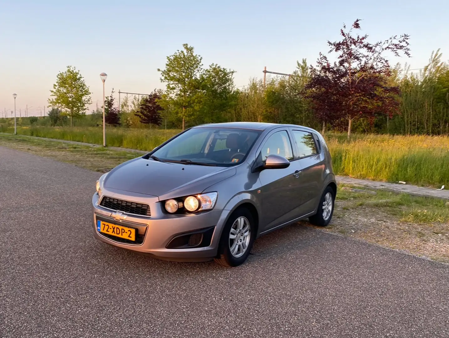 Chevrolet Aveo 1.3D LT Gri - 1