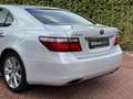 Lexus LS 600 600h V8 NIEUWE HYBRIDE ACCU twv 4.200 EURO Weiß - thumbnail 13