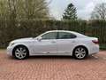 Lexus LS 600 600h YOUNGTIMER NIEUWE HYBRIDE ACCU twv 4.200 EURO Weiß - thumbnail 5