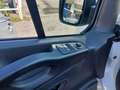 Renault Trafic T27 1.6 dCi 120CV PC-TN Furgone Ice Weiß - thumbnail 7