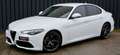 Alfa Romeo Giulia 2.2 t Veloce Q4 210cv awd auto Blanc - thumbnail 1