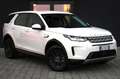 Land Rover Discovery Sport 2.0 163 CV Bianco - thumbnail 1