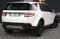 Land Rover Discovery Sport 2.0 163 CV Bianco - thumbnail 3