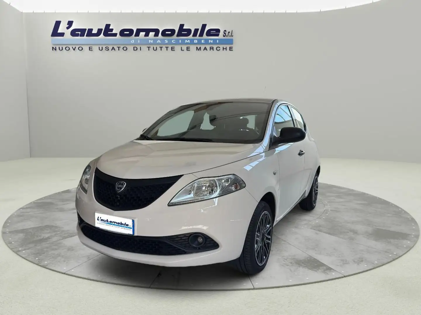 Lancia Ypsilon 1.2 69 CV 5 porte Elefantino Blu Beige - 2