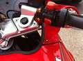 Ducati 750 Paso Rot - thumbnail 7