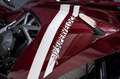MV Agusta 98 SV Edizione Limitata Racing KIt - thumbnail 5