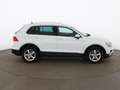 Volkswagen Tiguan 2.0 TDI 4Motion Comfortline LED AHK RADAR Weiß - thumbnail 5