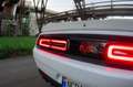 Dodge Challenger R/T Blanc - thumbnail 23