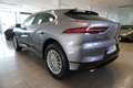 Jaguar I-Pace Business Edition EV320 AWD/LED Grau - thumbnail 4