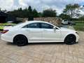 Mercedes-Benz CLS 500 4Matic+AMG Paket+Voll+Facelift+2.Hand Weiß - thumbnail 5