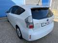 Toyota Prius+ Prius Wagon 1.8 Dynamic Business 7 Zitter Blanc - thumbnail 6
