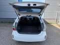 Toyota Prius+ Prius Wagon 1.8 Dynamic Business 7 Zitter Blanc - thumbnail 15