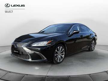 Hybrid Executive