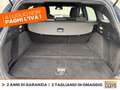 Ford Focus sw 1.0 ecoboost h st-line design 125cv powershift Blu/Azzurro - thumbnail 12