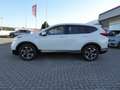 Honda CR-V Hybrid 2.0 i-MMD 2WD Elegance Bianco - thumbnail 7
