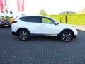 Honda CR-V Hybrid 2.0 i-MMD 2WD Elegance Bianco - thumbnail 4