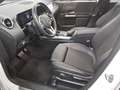 Mercedes-Benz B 250 e Progressive Navi LED MBUX+ T-Leder RFK Blanc - thumbnail 9