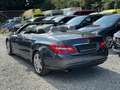 Mercedes-Benz E 250 E -Klasse Cabrio E 250 CGI BlueEfficiency Gris - thumbnail 26