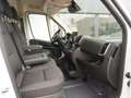 Fiat Ducato 40 L3H2 110 kW/h + Schwingsitz Weiß - thumbnail 11