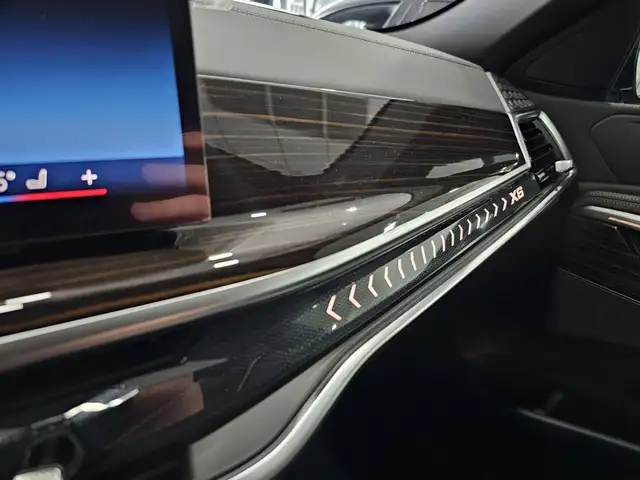 BMW X6 view 12