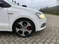 Volkswagen Polo GTI 1.4 TSI LEER I DSG I LED I PDC I NAVI I NWE APK I Белый - thumbnail 6