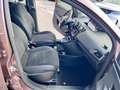 Lancia Ypsilon 1.2 69 CV 5 porte 30th Anniversary (Gold) Grigio - thumbnail 6