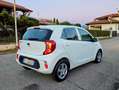 Kia Picanto Picanto 1.0 mpi GT Line Bianco - thumbnail 5