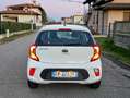 Kia Picanto Picanto 1.0 mpi GT Line Bianco - thumbnail 6