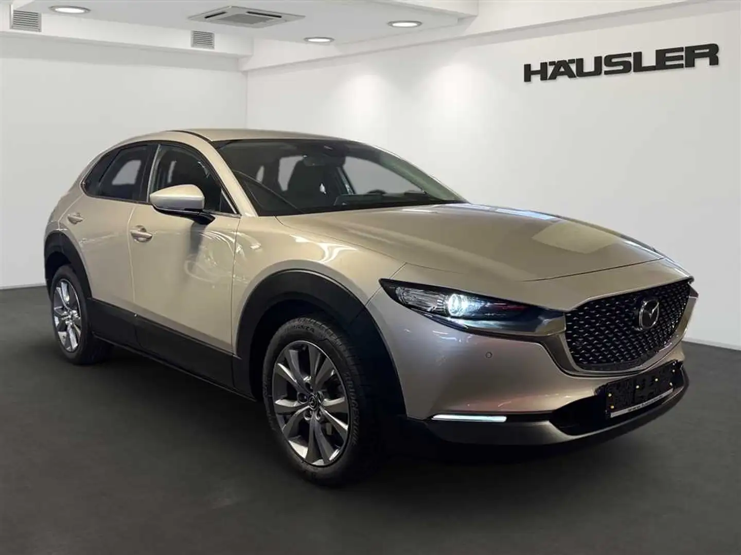 Mazda CX-30 2.0 M Hybrid Selection Automatik LED Navi Kamera Silber - 2