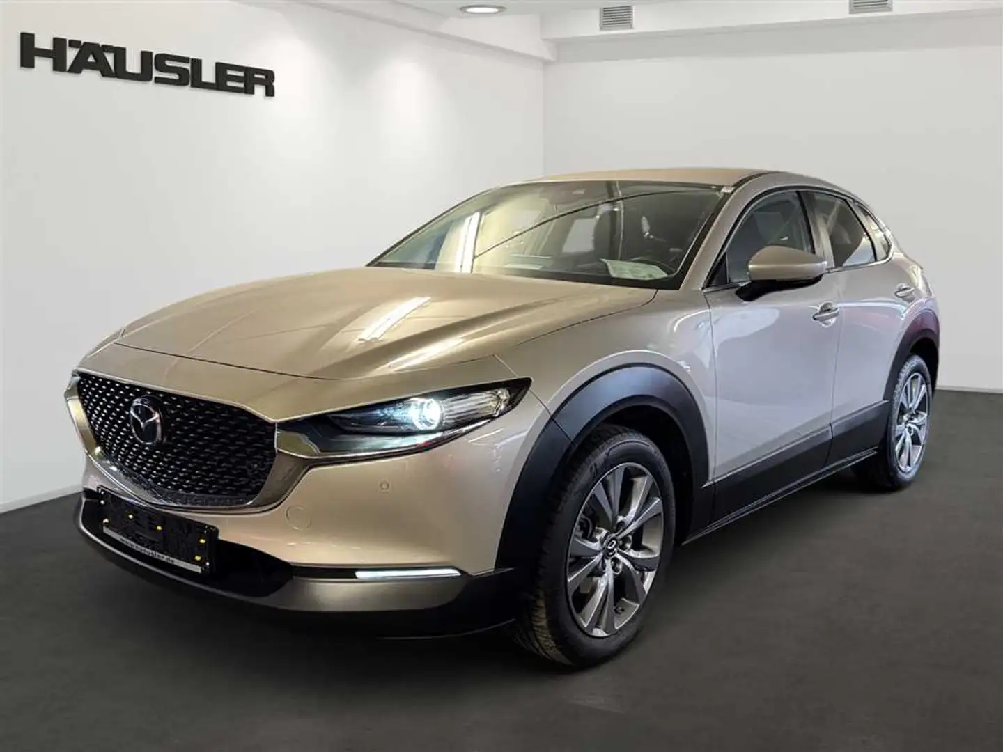 Mazda CX-30 2.0 M Hybrid Selection Automatik LED Navi Kamera Silber - 1