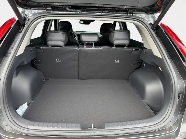 Kia Niro view 11