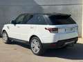 Land Rover Range Rover Sport 3.0TDV6 HSE Aut. Gris - thumbnail 4