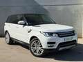 Land Rover Range Rover Sport 3.0TDV6 HSE Aut. Gris - thumbnail 2