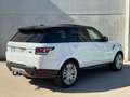 Land Rover Range Rover Sport 3.0TDV6 HSE Aut. Gris - thumbnail 5