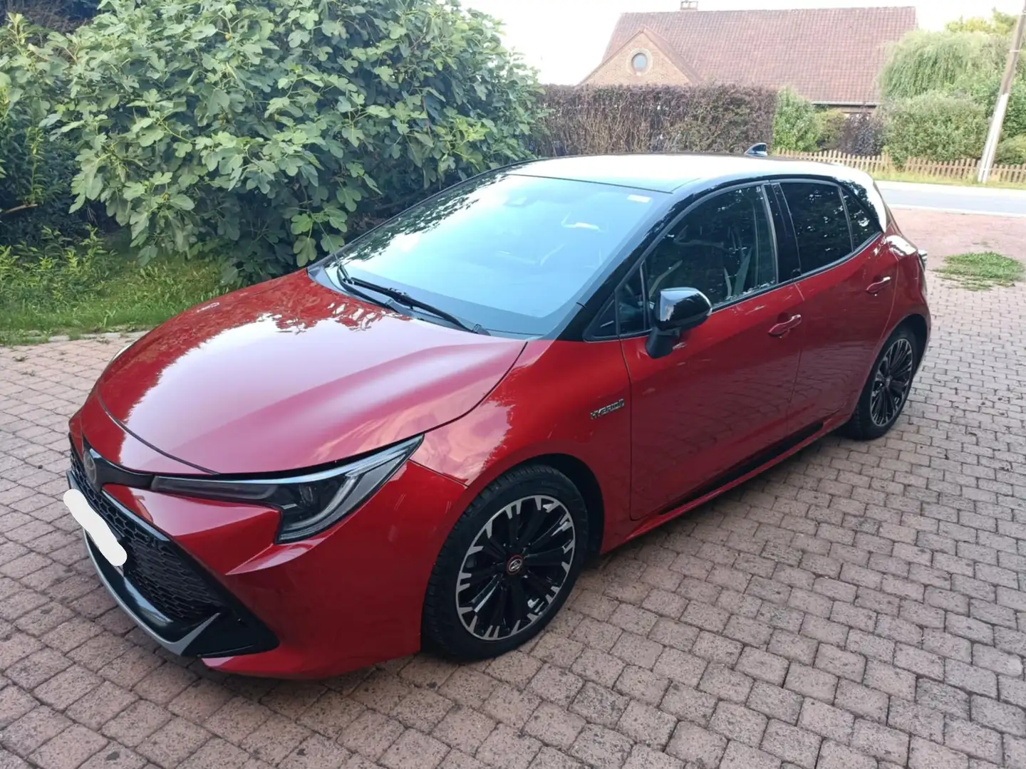 Toyota Corolla HB & TS Hatchback 1.8 Hybrid CVT GR Sport LHD Červená - 1