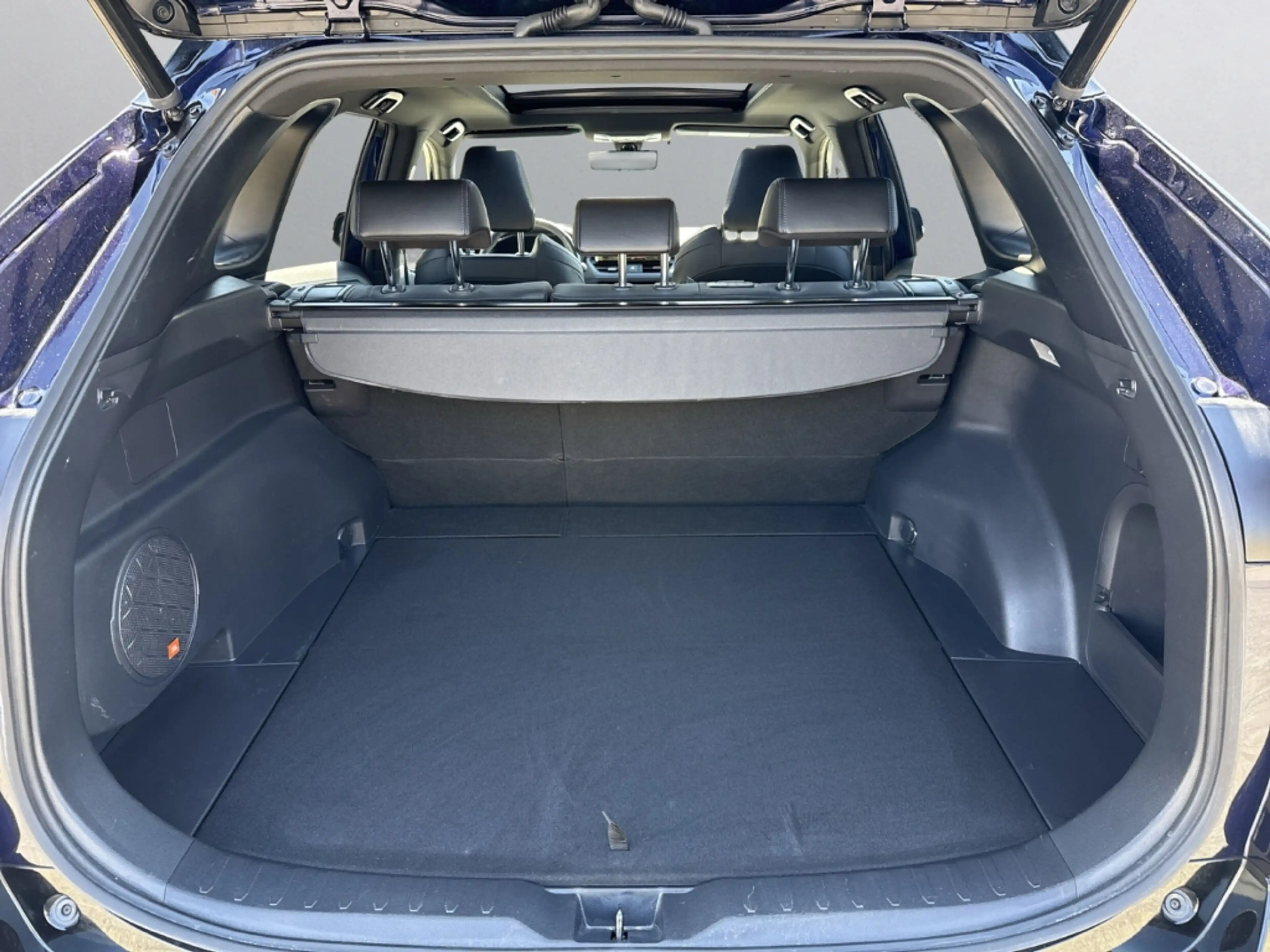 Toyota RAV 4 Hybrid 4x4 Style Selection *Panodach+Navi+Soundsys — photo 10